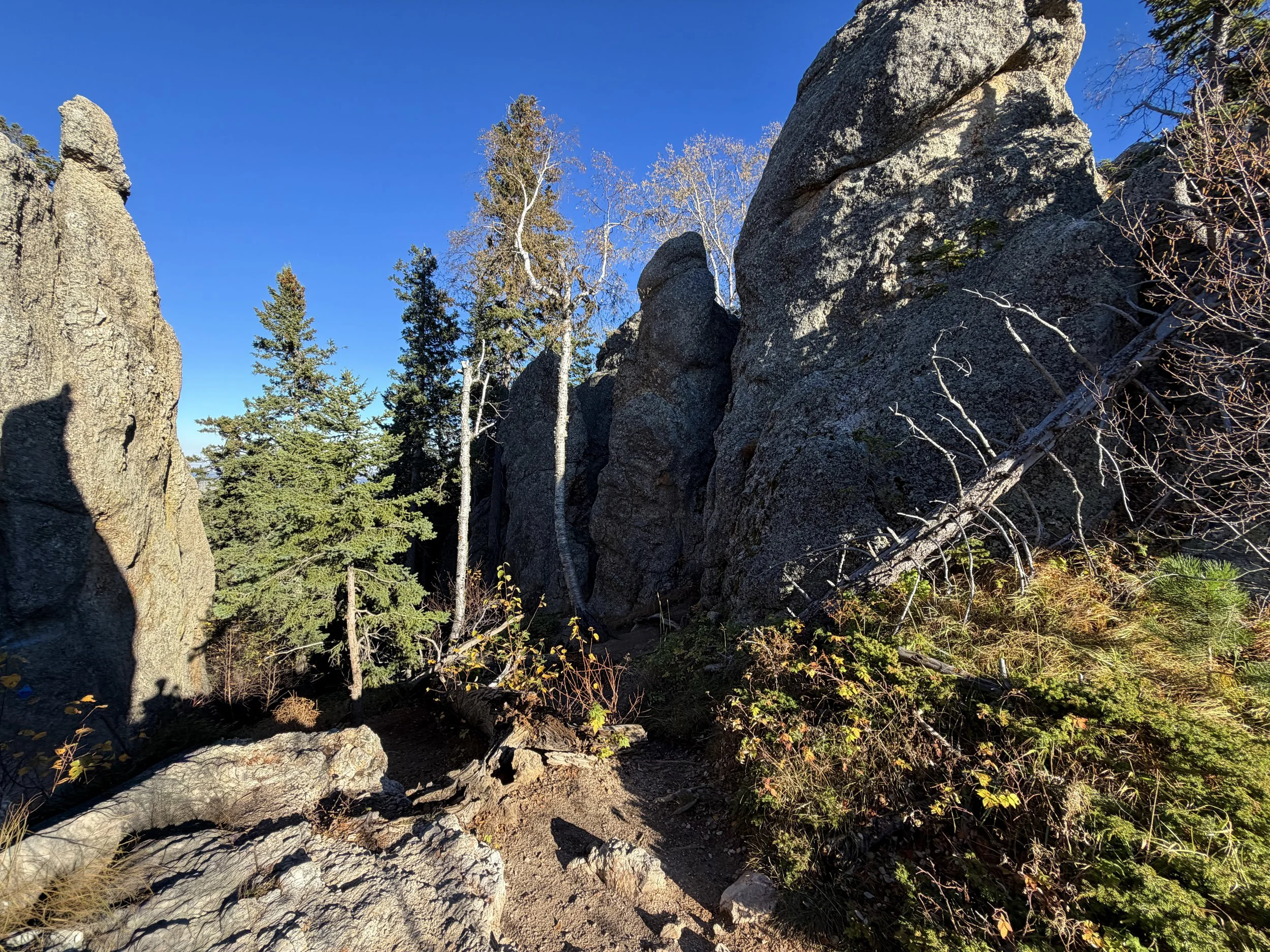 Hiking the Little Devils Tower Trail in Custer State Park in the